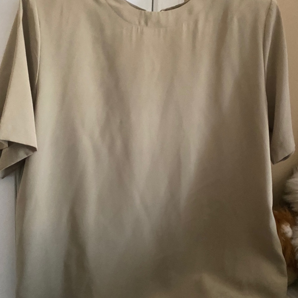 Tan blouse